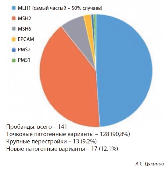 Генетический ландшафт синдрома Линча
