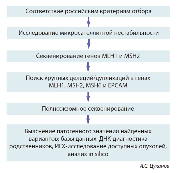 Правильный алгоритм диагностики синдрома Правильный алгоритм диагностики синдрома